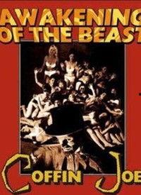 在线观看野兽,在线观看野兽的奇幻之旅