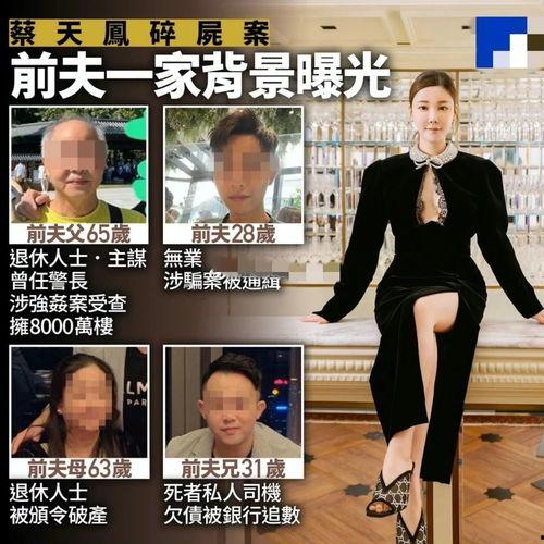 蔡天凤最新爆料新闻,最新爆料引发社会热议!” 第3张 蔡天凤最新爆料新闻,最新爆料引发社会热议!” 第3张