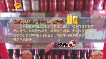 兰州啤酒爆料视频完整版,探寻品牌背后的故事与魅力